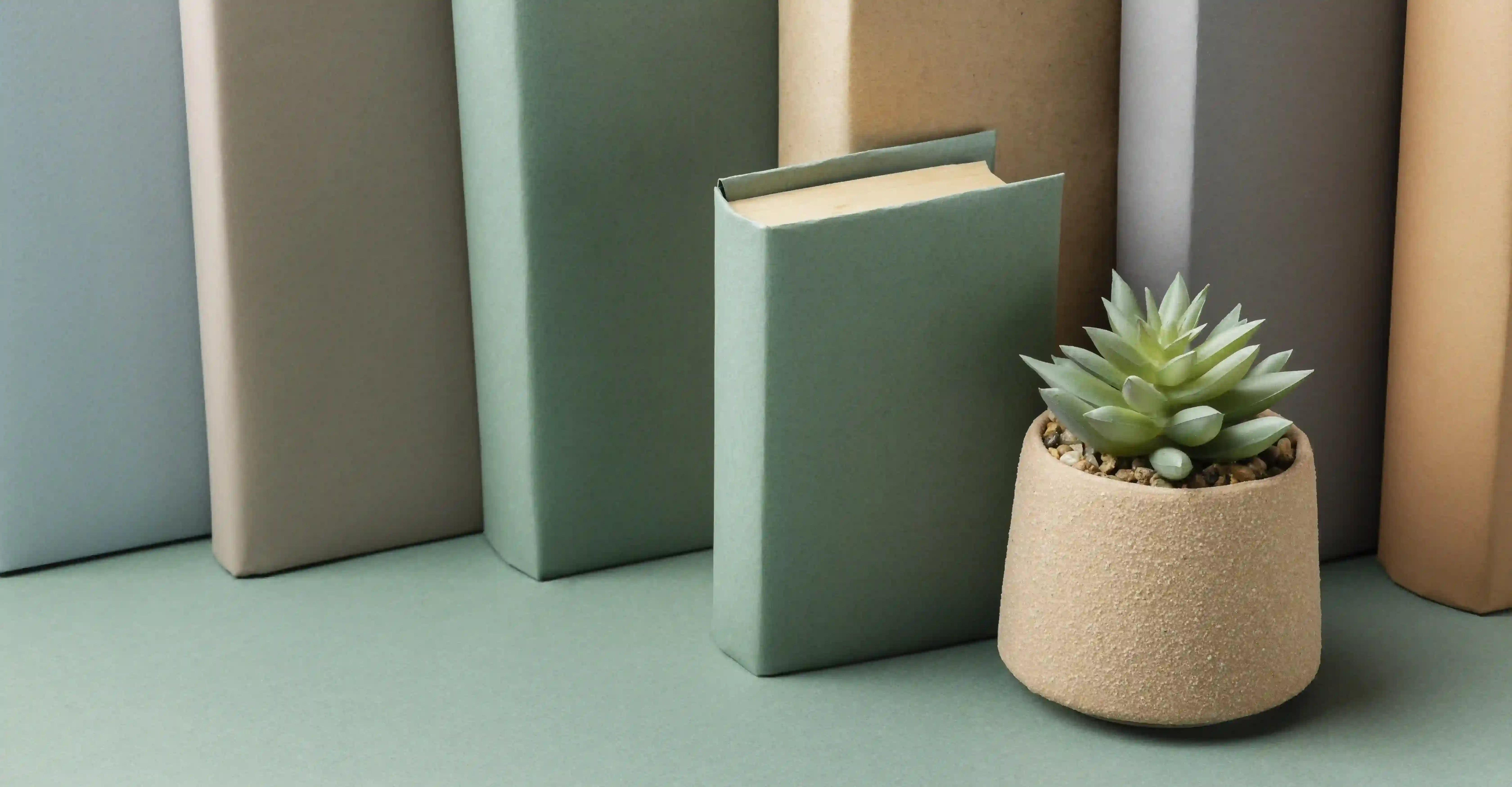 Stacked books and a plant.